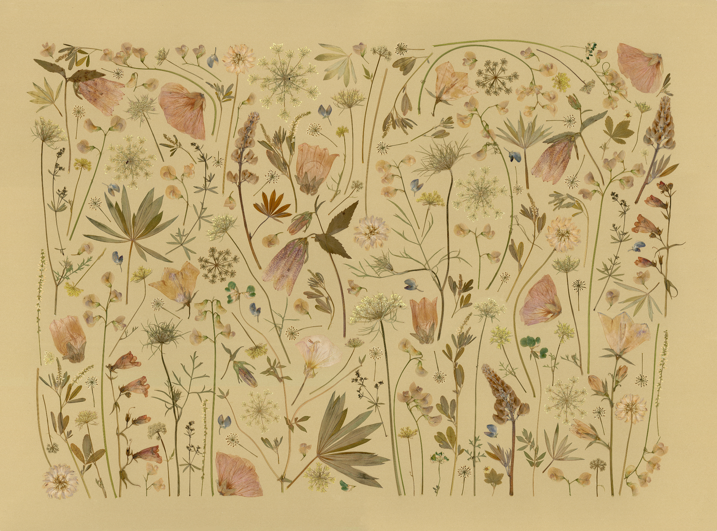 "Vintage Garden" Fine Art Print