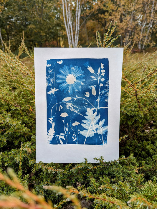 Botanical Sun Print "Magic Daisy"