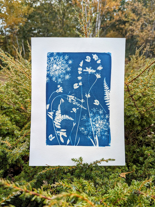 Botanical Sun Print "Twin Ferns"